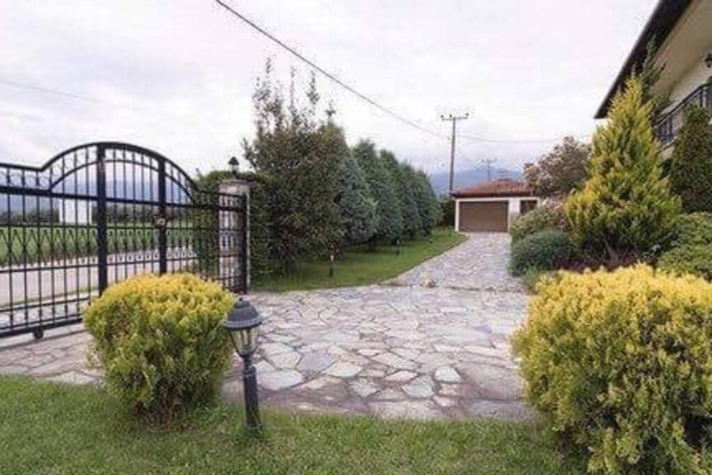 Olympus Leptokaria'S Luxurious Villa Екстер'єр фото